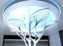 ʮźߡ